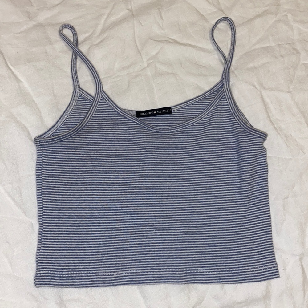 Brandy Melville Cropped Top